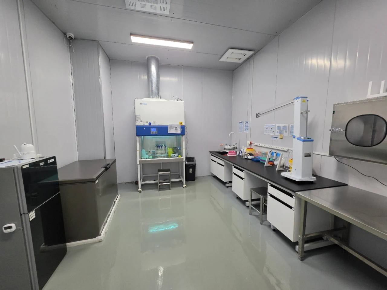 Laboratory room with a ventilated cabinet at the back and a workbench on the right